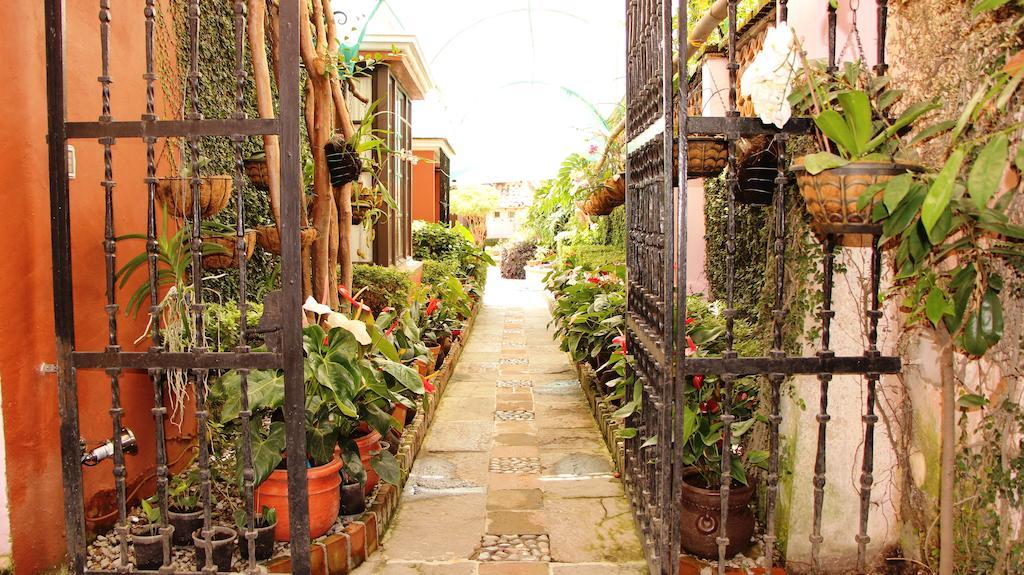 קוארנבאקאבה Villa Bonita Les Terrasses מראה חיצוני תמונה